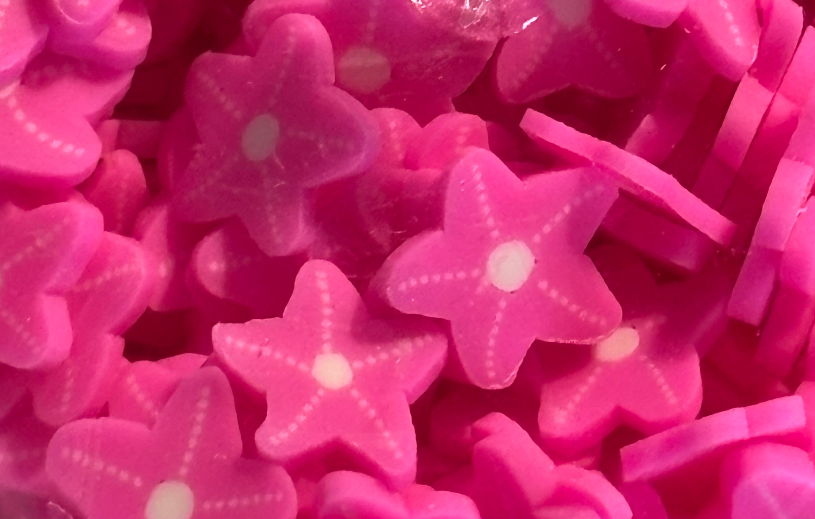 Pink Star Fish