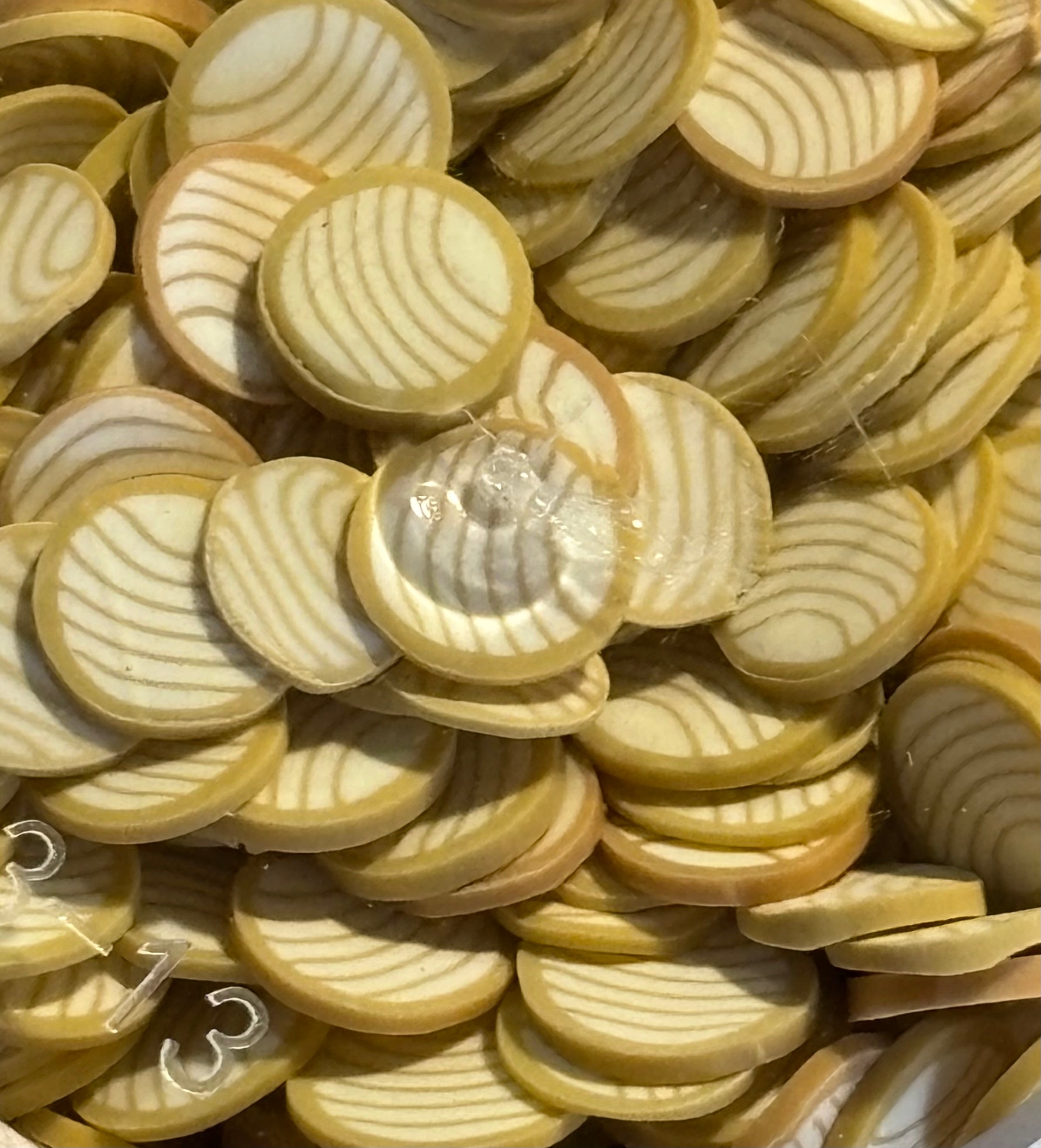 Concha
